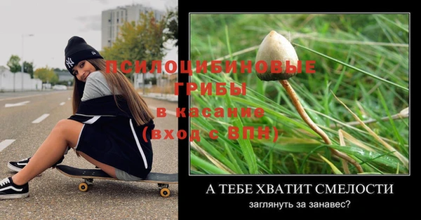 тгк Абинск