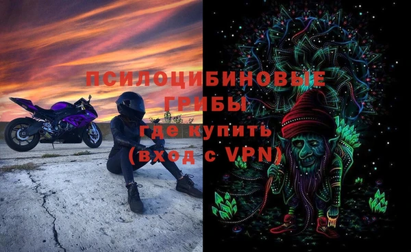 тгк Абинск